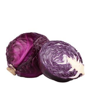 כרוב סגול