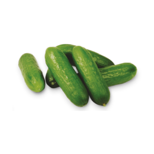 מלפפון מיני