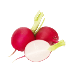 צנון