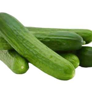 מלפפון