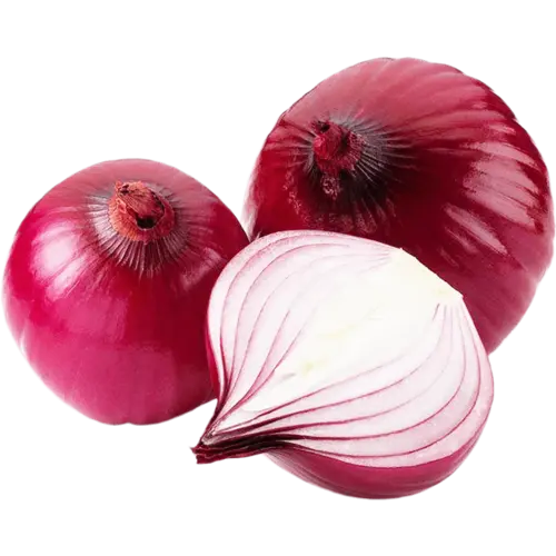 בצל סגול